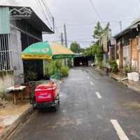 Bán Đất Sổ Riêng Thổ Cư Ấp 8 An Phước Long Thành Diện Tích 100M2 Ngay Kcn Long Đức Giá Bán 1Tỷ250