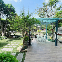 Cho Thuê Siêu Phẩm Biệt Thự Đơn Lập Hoa Phượng Hoàn Thiện Hiện Đại, Có Sông Và Sân Vườn Sau Nhà