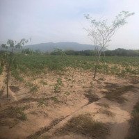 9 Sào Đất Sát Kcn Tân Đức, Hàm Tân. Giá Bán 1.35 Tỷ