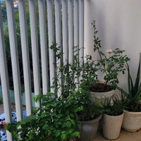 Căn Hộ Phú Gia, Phú Xuân, Nhà Bè, 72M2, 2 Phòng Ngủ, Đã Có Sổ 2 Tỷ 390