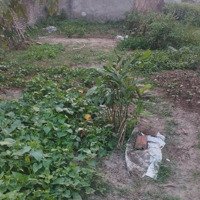 Chính Chủ Bán Gấp Đất Gần Kcn Nội Bài, 2,4 Tỷ, 81M2, Sóc Sơn, Hà Nội