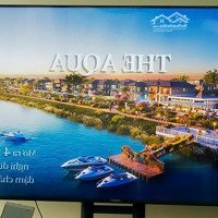 Từ 33 Triệu/M2 Sở Hữu Biệt Thự Song Lập Waterpoint Trục Đường Thông, Liền Kề Công Viên Giá Tốt