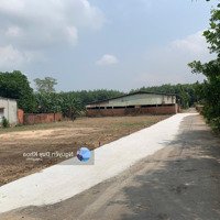 Bán Lô Đất 105M2 Giá Rẻ Tại Long Thành