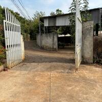CHÍNH CHỦ BÁN GẤP VƯỜN GẦN SÂN BAY LONG THÀNH – CÓ THỔ CƯ – GIÁ CHỈ 1TR9/M² (THƯƠNG LƯỢNG)