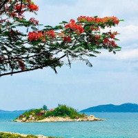 [ Mặt Tiền Phạm Văn Đồng _ Đi Ra Biển Hòn Chồng : 80M ] Giá Bán 12,6 Tỷ