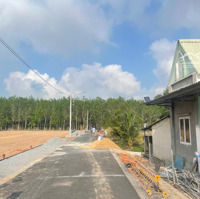 Đất Nền 135M2 Tại Xã Định Thành, Dầu Tiếng, Bình Dương, 350 Triệu Vnd