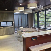 Cho Thuê Nhà Góc 2 Mặt Tiền Có Hầm + Thang Máy Tại Kdc Tân Quy Đông - Quận 7