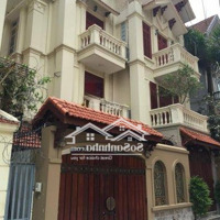 Bán Gấp Biệt Thự Mễ Trì Hạ, Nam Từ Liêm Hà Nội. Đối Diện Kengnam Giá Bán 59.95 Tỷ 180M2 Mặt Tiền 12M