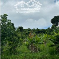 Bán Đất Tại Phúc Thọ 800M2 Đẹp Xuất Sắc, Giá Ưu Đãi Có Sẵn Thổ Cư