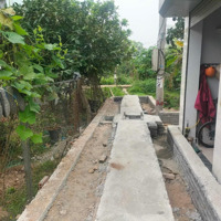 Đất Lê Xá Mai Lâm Đông Anh Giá Bao Rẻ Nhất Khu Vực , Xuống Cọc Là Lãi