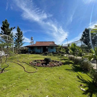 Bán Homestay Nghỉ Dưỡng Ngay Chùa Trà - Lý Thường Kiệt - Bảo Lộc. Diện Tích 15,8X33M - Giá Bán 2,5 Tỷ