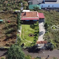 Bán Homestay Nghỉ Dưỡng Ngay Chùa Trà - Lý Thường Kiệt - Bảo Lộc. Diện Tích 15,8X33M - Giá Bán 2,5 Tỷ