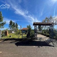 Bán Homestay Nghỉ Dưỡng Ngay Chùa Trà - Lý Thường Kiệt - Bảo Lộc. Diện Tích 15,8X33M - Giá Bán 2,5 Tỷ
