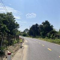 Chính Chủ Bán Lô Đất Vườn, Sổ Sẵn Trao Tay, Vườn Tươi Tốt, Trĩu Quả Hơn 1 Sào - Giá Ngộp Ở Dầu Giây