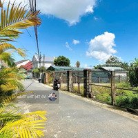 Đất Liên Kế Đường Phù Đổng Thiên Vương, Phường 8, Đà Lạt Chỉ Hơn 4 Tỷ