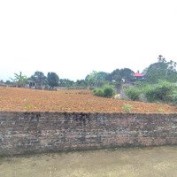 Đất Ba Vì Mặt Tiền Mới Tinh, Đường Thông 2 Ô Tô Tránh Nhau. Giá Chỉ Hơn 1 Triệu/M2