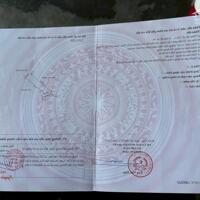 Hàng hiếm phố Cẩm Xuân, thị trấn Núi Đối, Kiến Thụy, Hải Phòng.