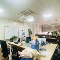 Tòa Nhà Mp Mễ Trì, Kinh Doanh, Thông Đỗ Đức Dục, Đại Lộ Thăng Long, Doanh Thu Gần 1 Tỷ