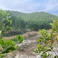 7.5Ha Đất Rừng Sản Xuất Tại Lạc Thủy- Hòa Bỉnh Giá Chào 5.5 Tỷ