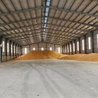 * Cho thuê kho xưởng 2500m2 gần đường QL 51, Mỹ Xuân, Phú Mỹ, Bà Rịa Vũng Tàu