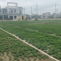 Bán Gấp Đất Nền 114M2 Tại Yên Nhân, Ý Yên, Nam Định, 1,5 Tỷ