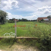 Chính Chủ Bán Đất 3.352M2 (Có 300M2 Thổ), Đường Bê Tông 6M, Sổ Hồng Riêng Đức Hòa Đông, Long An
