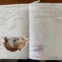 Bán Kho, Nhà Xưởng Tại Trần Tất Văn, Tràng Minh, Kiến An, Hải Phòng, Giá Tốt