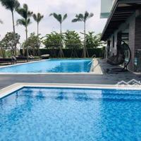 Bán Ch Kikyo Quận 9 ( 1 Phòng Ngủ+1, Giá Bán 2.8 Tỷ), ( 2 Phòng Ngủgiá Bán 3.6 Tỷ) Hỗ Trợ Vay 80%. Liên Hệ: 0902.550.515