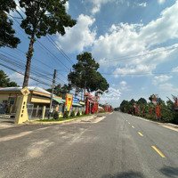 Bán Miếng Đất Vườn View Suối Nước Trong Vắt Tại Phú Giáo - Bình Dương - Giá Bán 750 Triệu - Shr