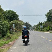 Bán Miếng Đất Vườn View Suối Nước Trong Vắt Tại Phú Giáo - Bình Dương - Giá Bán 750 Triệu - Shr