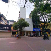 Bán Đất 260M2 Tại Nguyễn Du, Phường Nguyễn Du, Hai Bà Trưng, Hà Nội