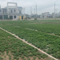 Bán Đất Tại Xã Yên Nhân, Huyện Ý Yên, Nam Định, 1,6 Tỷ, 114 M2 Chỉ Với Giá Siêu Hời
