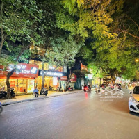 Mặt Phố Kinh Doanh Vỉa Hè Đá Bóng Trung Tâm Quận Cầu Giấy
 Diện Tích: 90M Xmặt Tiền6M Chỉ 46 Tỷ