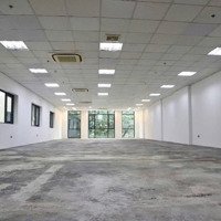 Cho Thuê Mặt Bằng Kinh Doanh Phố Trần Đại Nghĩadiện Tích60Mx2T,Mặt Tiềnlô Góc 10 , Siêu Phẩm Khu Bách Khoa