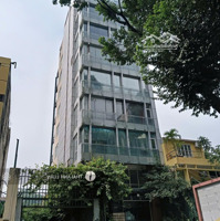 Dòng Tiền Tốt: 240 Triệu/Th. Mặt Tiền Trần Quang Khải, Quận 1. Diện Tích: 150M2 (7,5X20M), Hầm 6 Tầng. 45 Tỷ