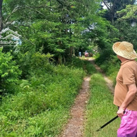 Chính Chủ Chưa Qua Môi Giới. Bán Đất Sổ Đỏ Cạnh Hồ Đồng Chanh, Cư Yên, Lương Sơn, Hòa Bình