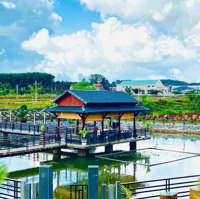 Chính Chủ Cần Ra Gấp Lô Đất Đối Diện Cổng Ubnd Xã Boombo, Diện Tích 113,3M2, View Hồ Sinh Thái