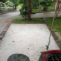 Bán Nhà Vườn Tại Xã Phước Đồng Nha Trang, Chỉ 5,5 Tỷ/ 3000M2