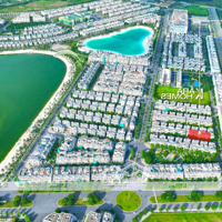 Quỹ Căn Biệt Thự Song Lập Vinhomes Ocean Park 1 Vị Trí Đẹp Gần Công Viên - Hồ 24.5Ha
