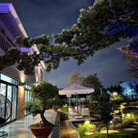 Định Cư Nước Ngoài! Bán Gấp Biệt Thự Nghỉ Dưỡng 4.000M2 Đường Đinh Đức Thiện