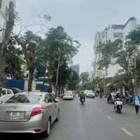 Cơ Hội Đầu Tư Nhà Mặt Phố Tuệ Tĩnh Có 102 Chỉ Với Gần 20 Tỷ