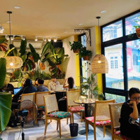 Cho Thuê Lô Góc Mặt Phố Ẩm Thực Tô Hiệu - Tổngdiện Tích250M2,Mặt Tiền20M Đẹp Nhất Cầu Giấy Hợp Mọi Mô Hình