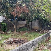 Bán Đất Tại Yên Phú, Yên Định, Thanh Hóa, Giá Thỏa Thuận, 555M2