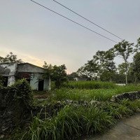 Bán Đất Tại Yên Phú, Yên Định, Thanh Hóa, Giá Thỏa Thuận, 555M2