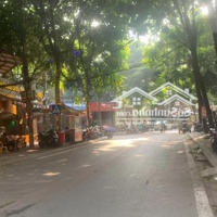 Bán Đất Ngõ Phố Phan Kế Bính, Ngõ Thông - Xe Lam Qua Nhà. Cách Phố 15M.diện Tích102M2,Mặt Tiền6M
