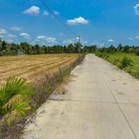 Đất THỔ CƯ ĐƯỜNG BÊ TÔNG 6M CỦA XÃ BÌNH TRÌNH ĐÔNG ! -  DT : 7x13 nở hậu 7m9 ( 96m2 ) Giá 425tr