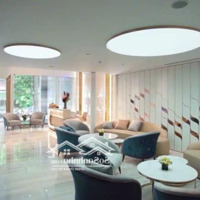 Cho Thuê Mặt Bằng Kinh Doanh Phố Trần Đại Nghĩadiện Tích60M2 X 2T, Mặt Tiền 12M. Ưu Tiên Sạch Sẽ