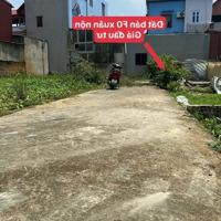 Nhỉnh 2 Tỉ Sở Hữu Ngay Mảnh Đất 43.3M2 Xuân Nộn Đông Anh.đường 3M.cách 20M Ra Trục Chính Làng