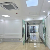 Thái Hà 135M, 6 Tầng Thông Sàn Thang Máy,Kinh Doanh Nhộn Nhịp. Giá Bán 61,8Tỷ (Thương Lượng)
