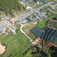 Bán 1 Ha 5 Quy Hoạch Full Thổ Cư Ngay Trạm Thu Phí Định An